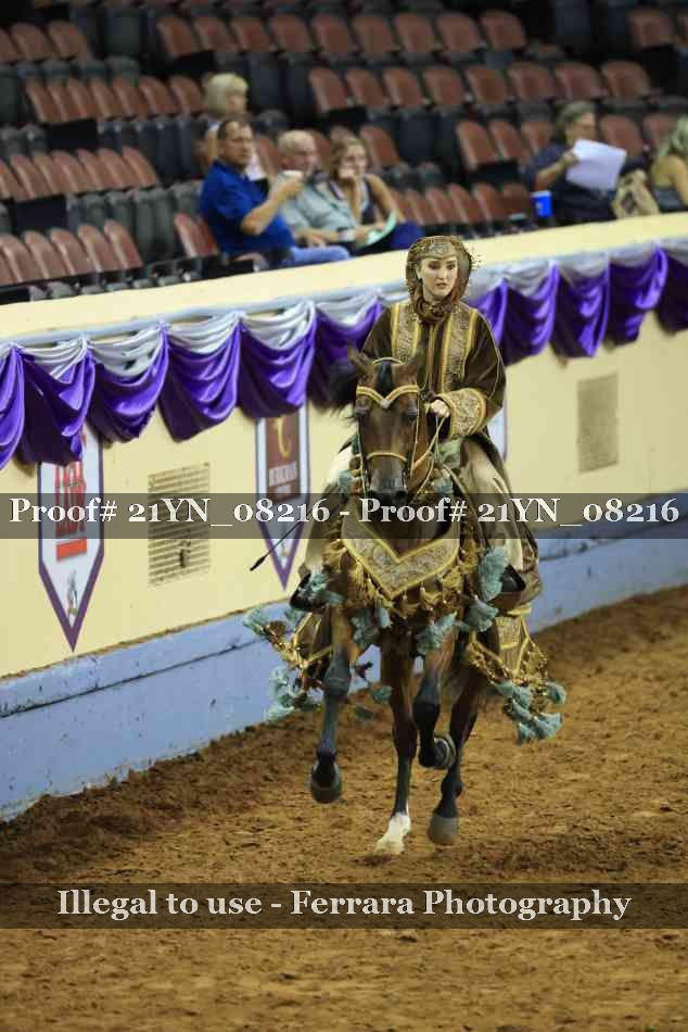 Proof Number 21YN_08216