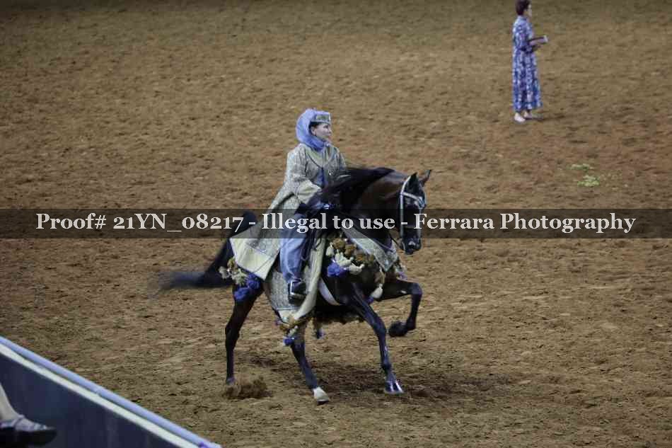 Proof Number 21YN_08217