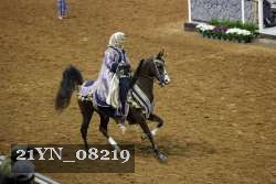 21YN_08219 thumbnail