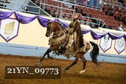 21YN_09773 thumbnail