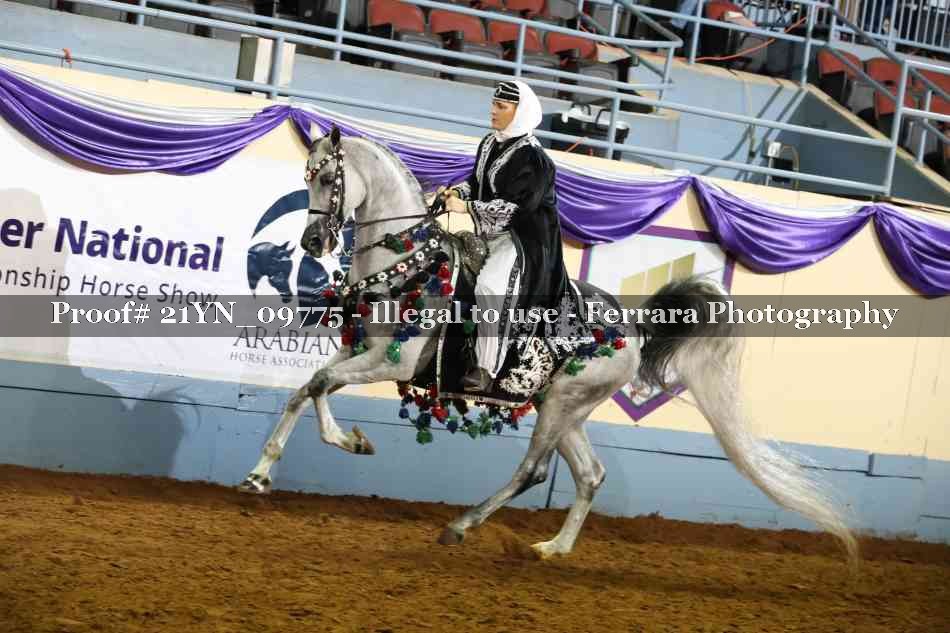 Proof Number 21YN_09775