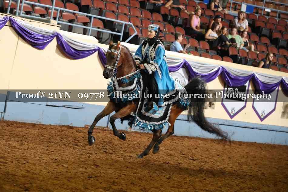 Proof Number 21YN_09778