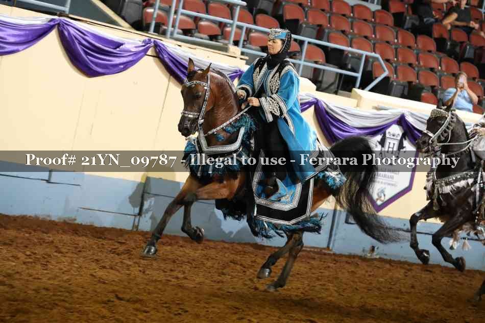 Proof Number 21YN_09787