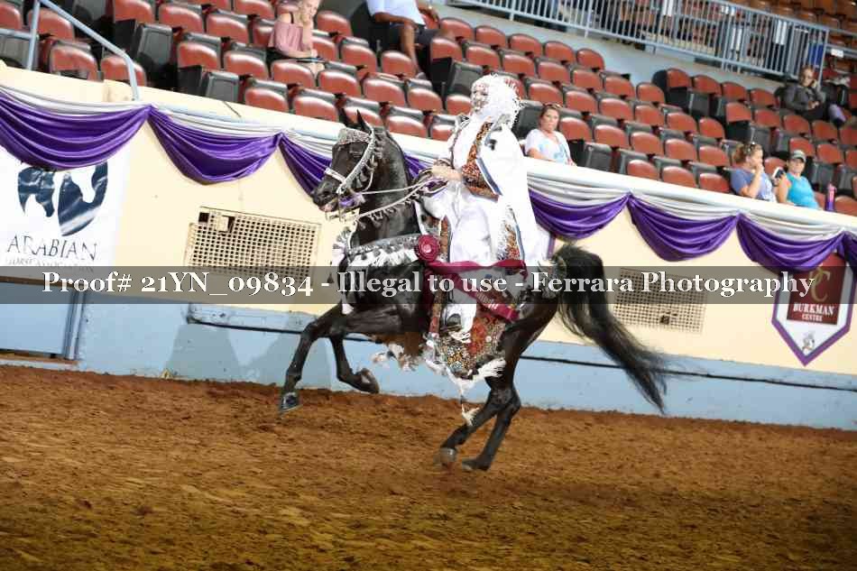 Proof Number 21YN_09834