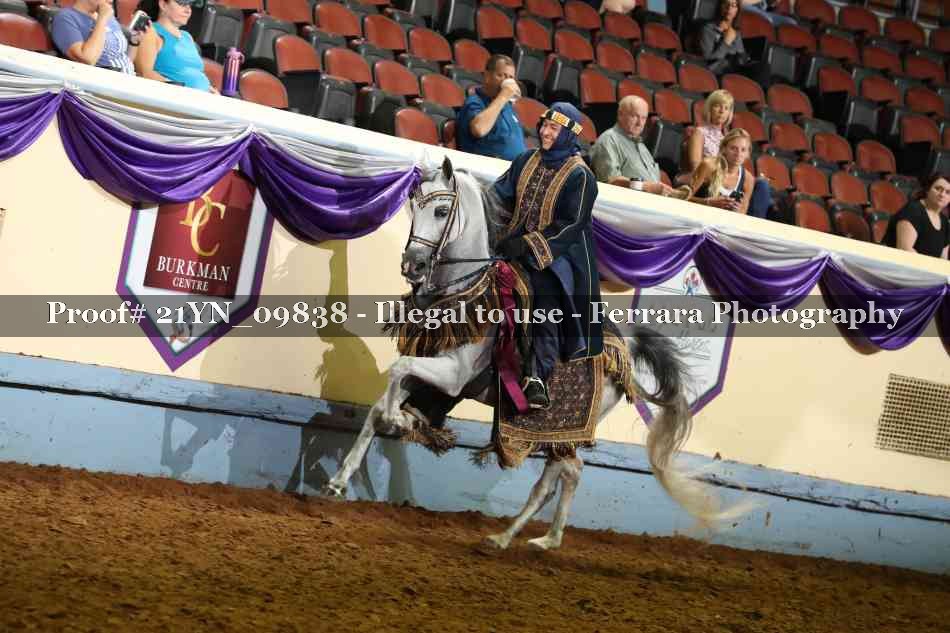Proof Number 21YN_09838