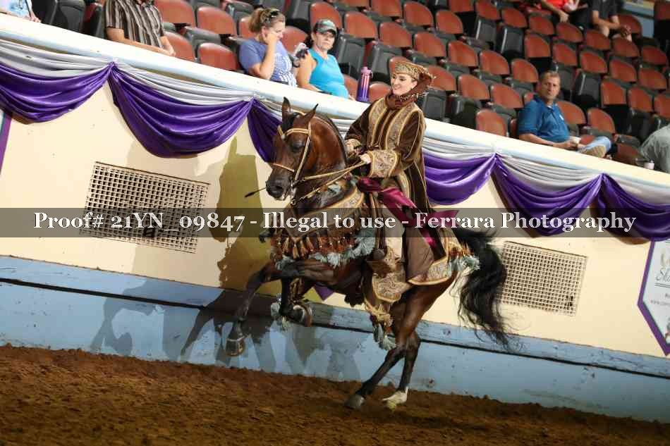 Proof Number 21YN_09847