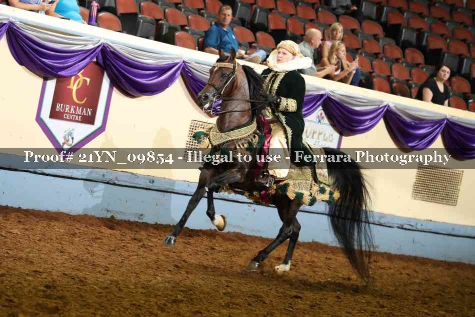 Proof Number 21YN_09854