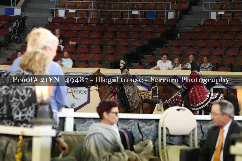 Proof Number 21YN_49487