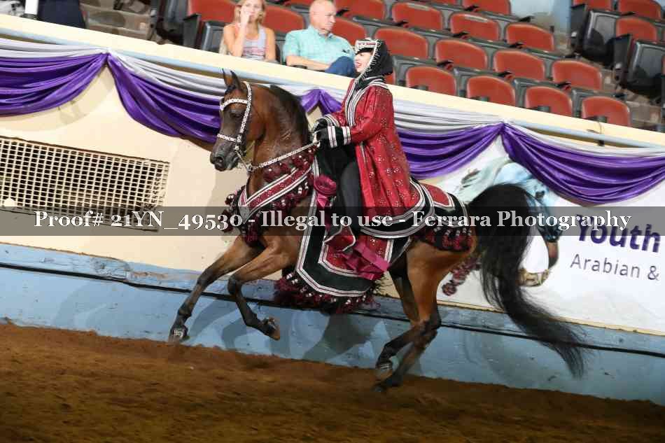 Proof Number 21YN_49530