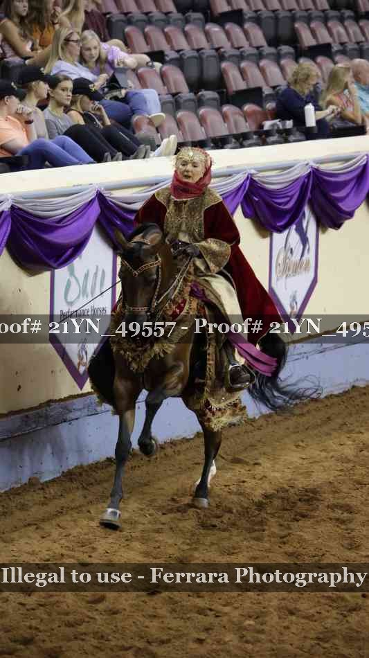 Proof Number 21YN_49557