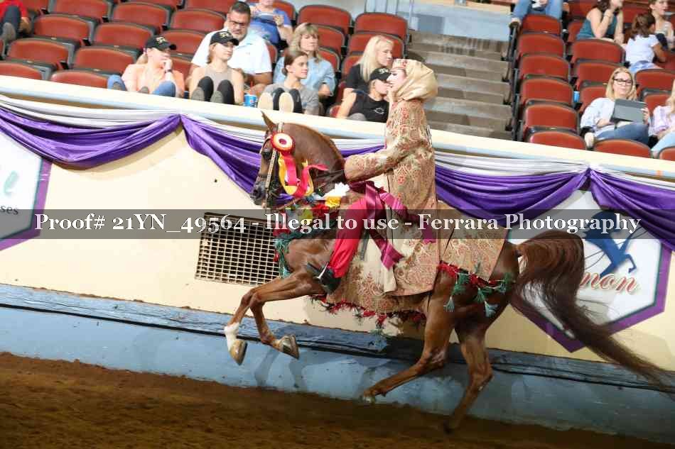 Proof Number 21YN_49564