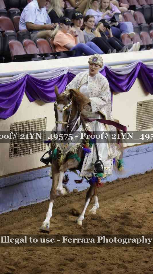 Proof Number 21YN_49575