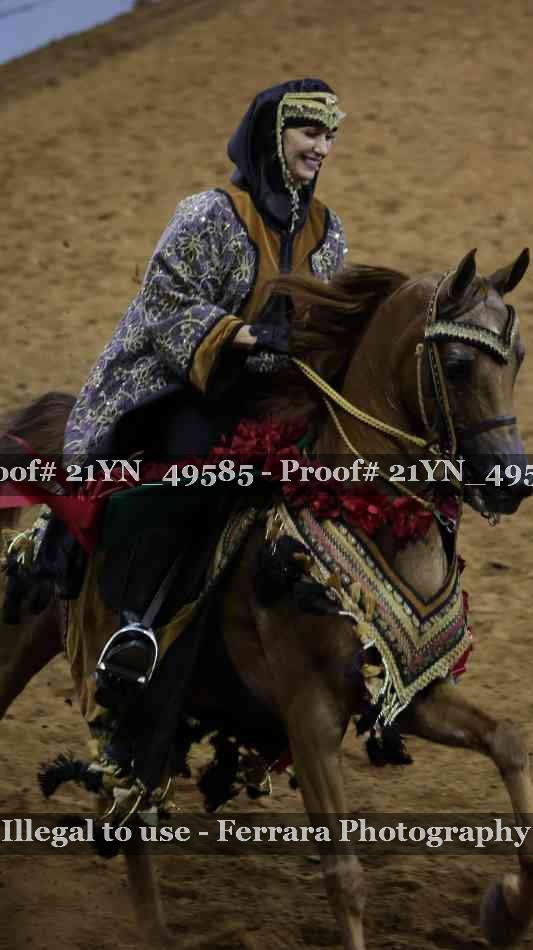 Proof Number 21YN_49585
