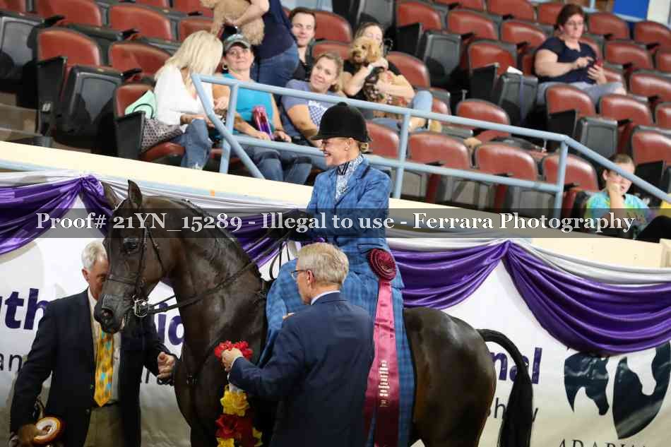 Proof Number 21YN_15289