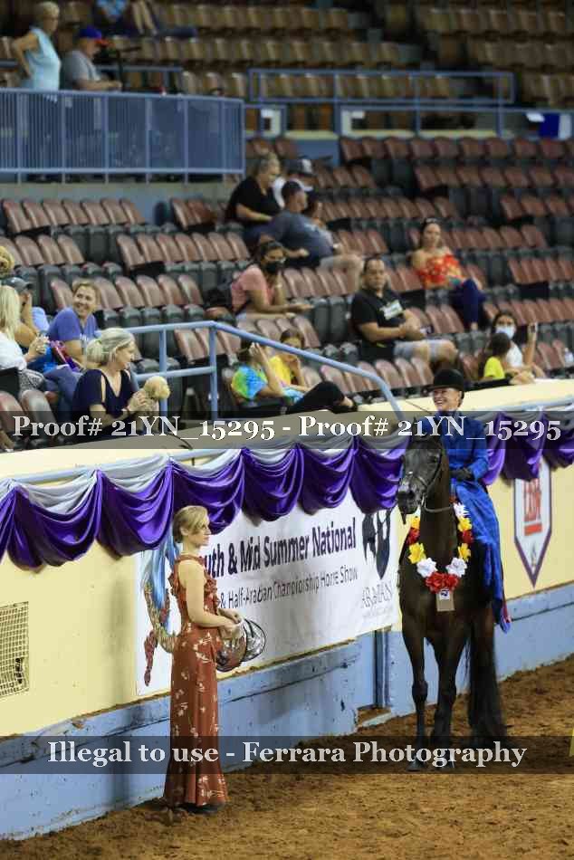 Proof Number 21YN_15295