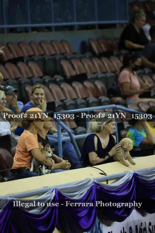Proof Number 21YN_15303