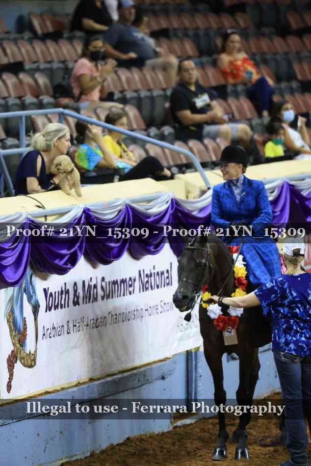Proof Number 21YN_15309