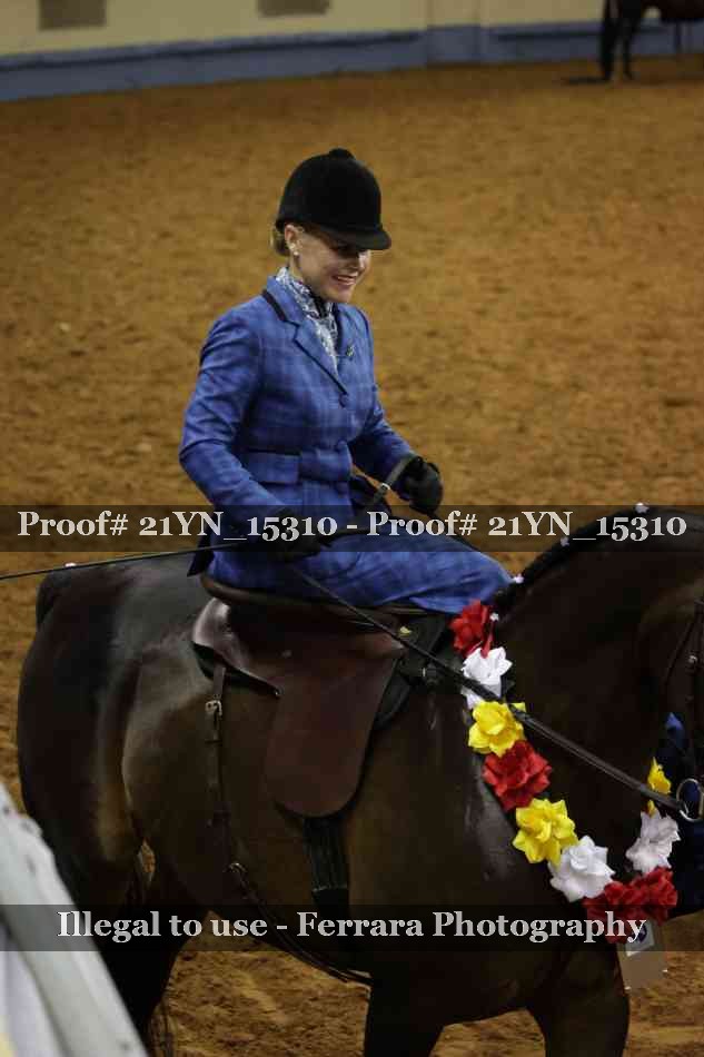 Proof Number 21YN_15310