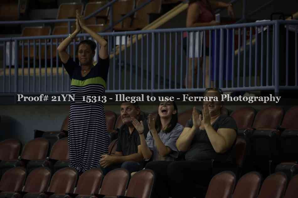 Proof Number 21YN_15313