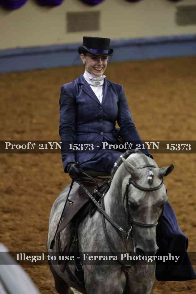Proof Number 21YN_15373