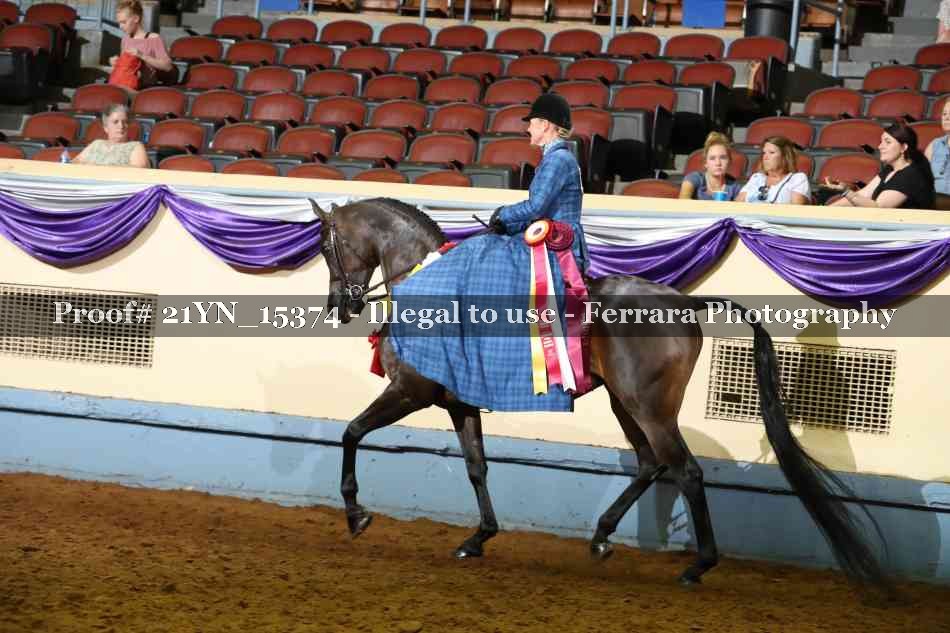 Proof Number 21YN_15374