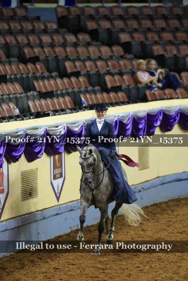 Proof Number 21YN_15375
