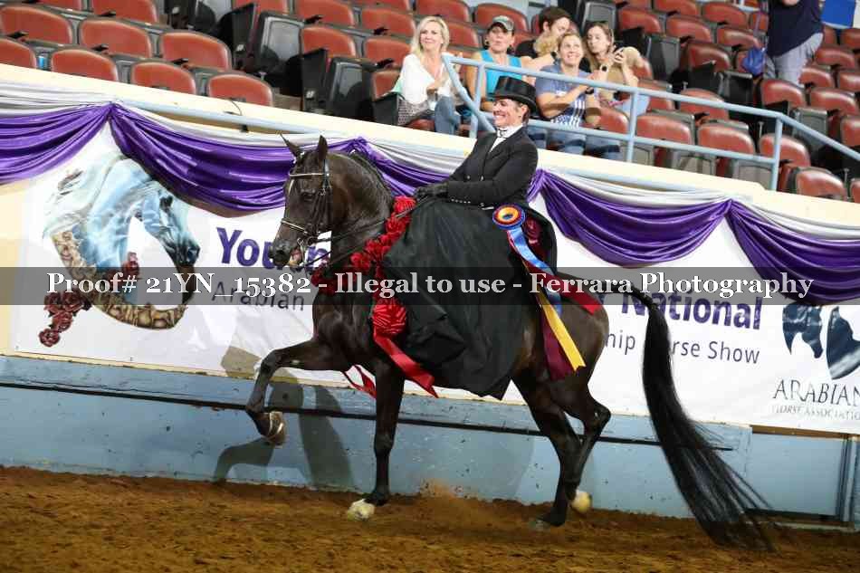 Proof Number 21YN_15382
