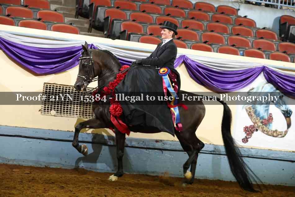 Proof Number 21YN_15384