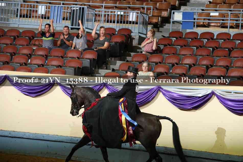 Proof Number 21YN_15388