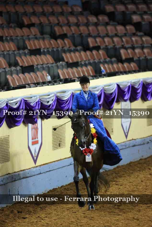Proof Number 21YN_15390
