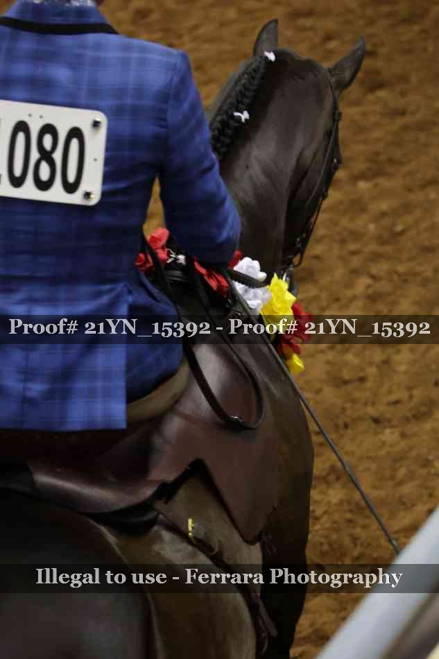 Proof Number 21YN_15392