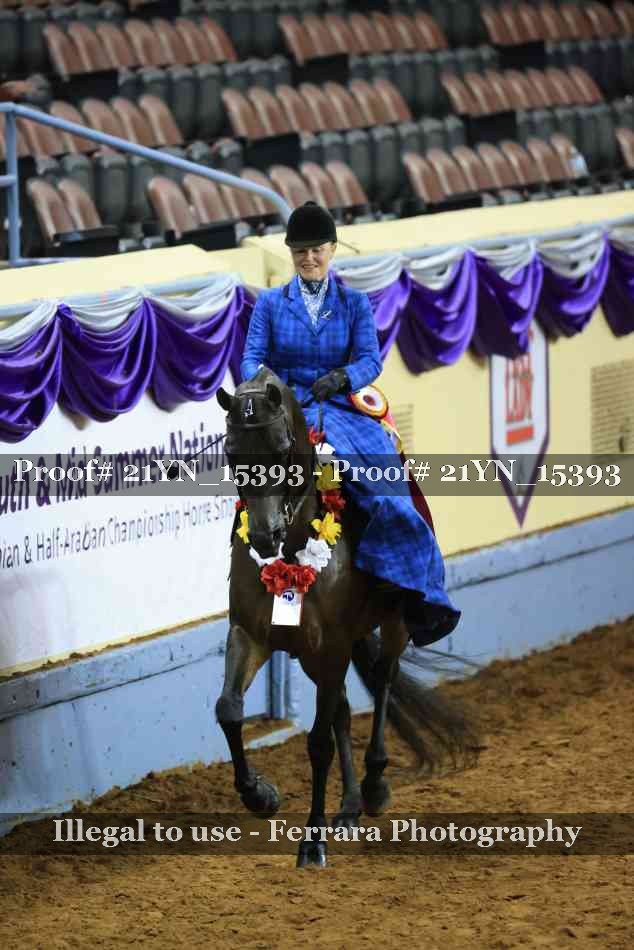 Proof Number 21YN_15393