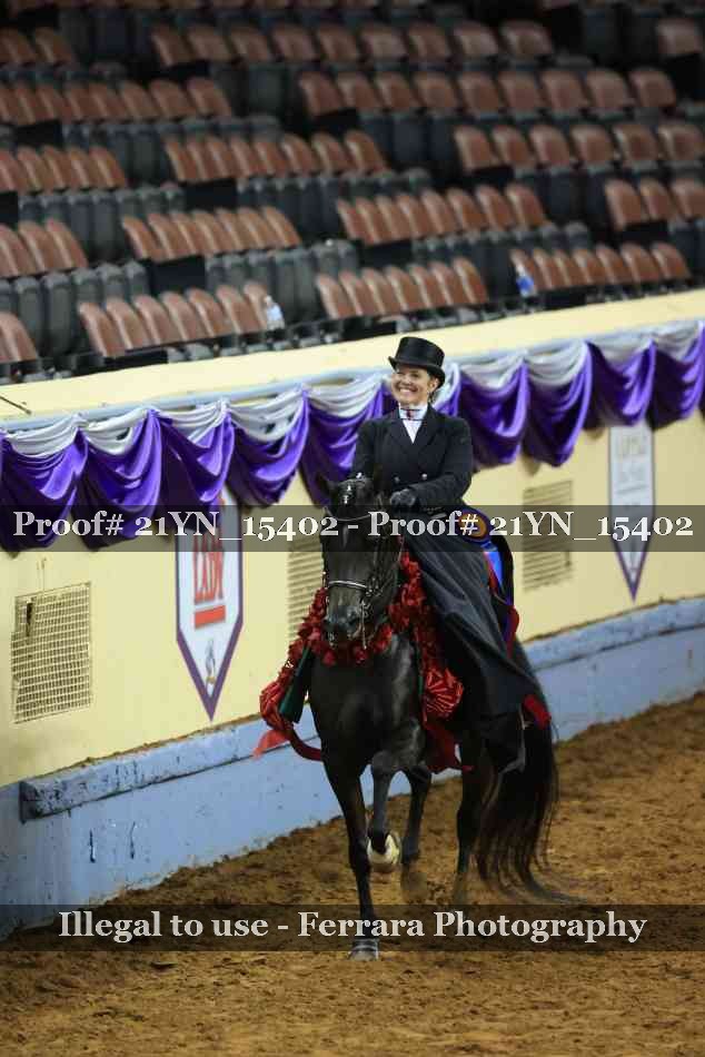 Proof Number 21YN_15402