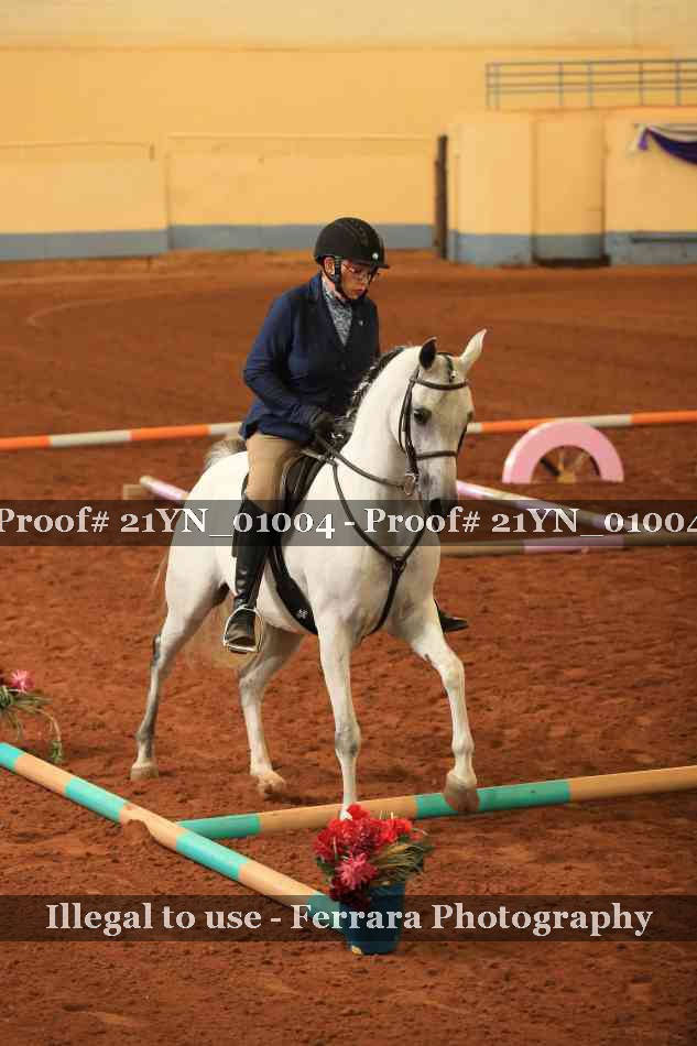 Proof Number 21YN_01004