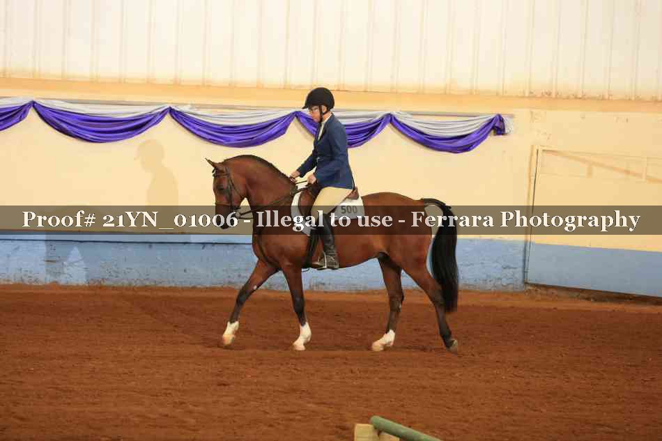 Proof Number 21YN_01006
