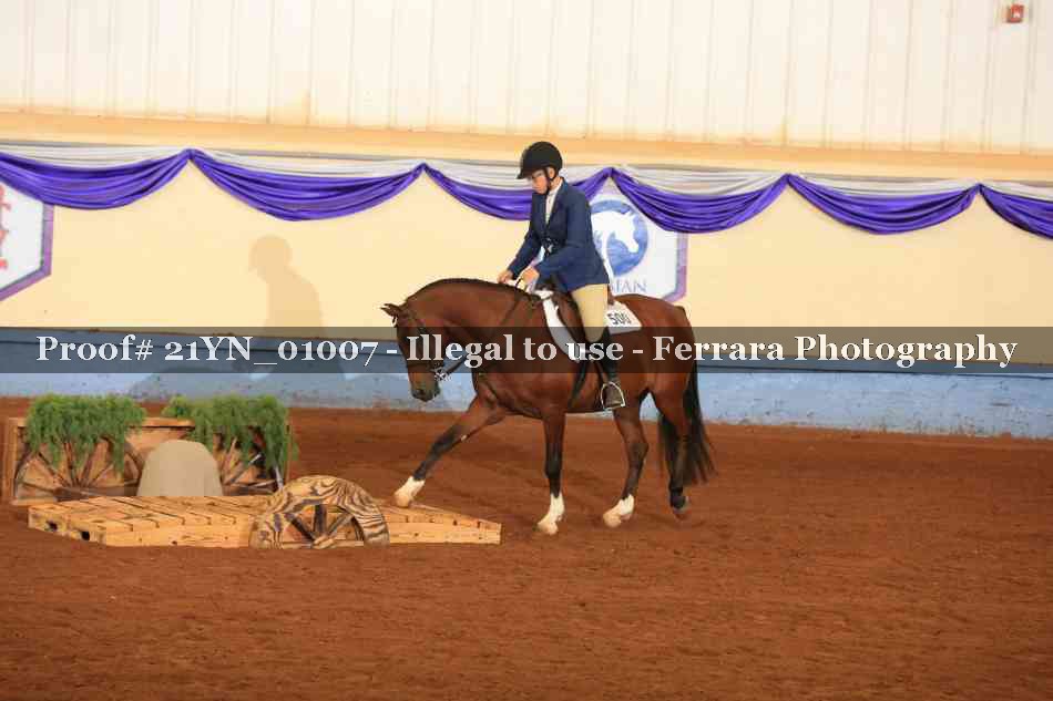 Proof Number 21YN_01007