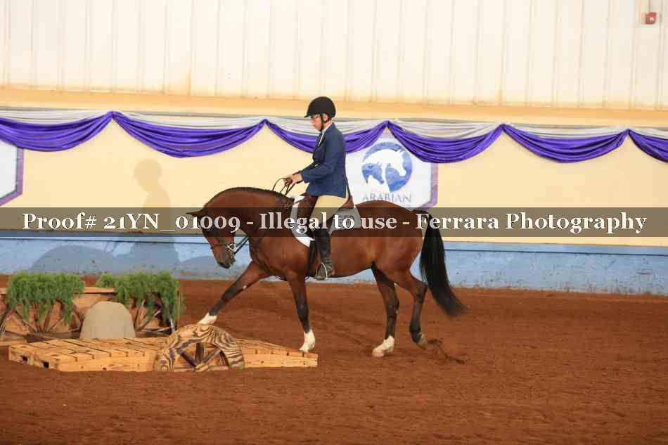 Proof Number 21YN_01009