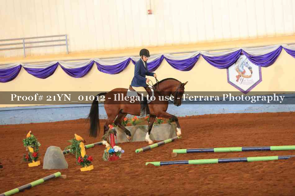 Proof Number 21YN_01012