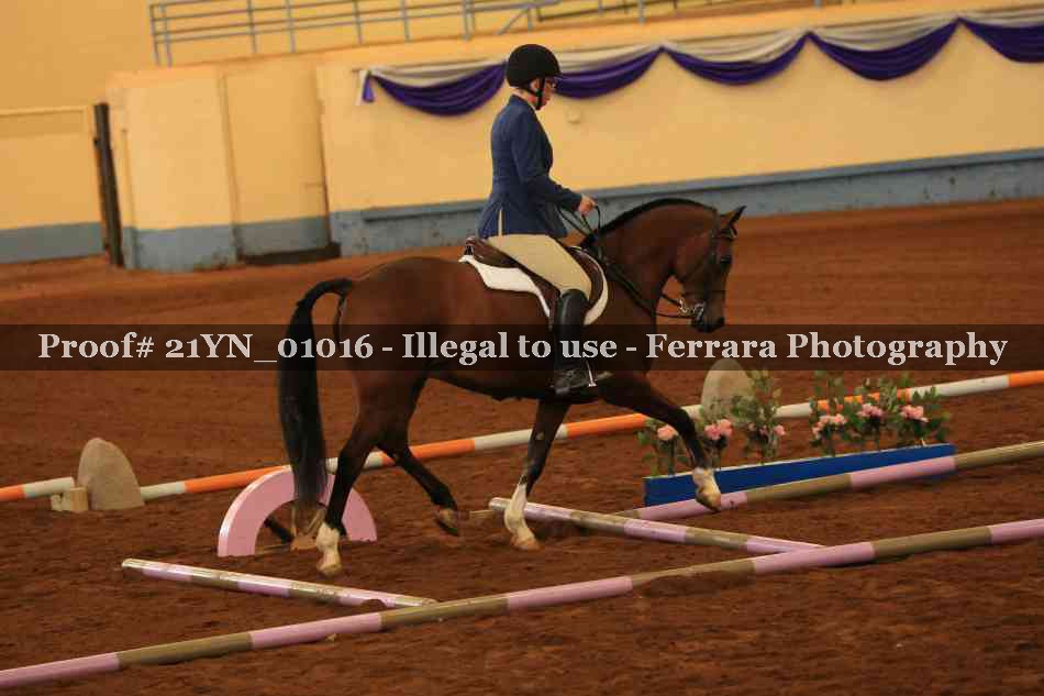 Proof Number 21YN_01016