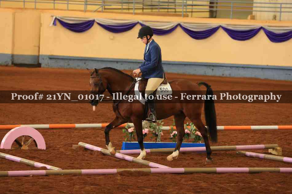 Proof Number 21YN_01017