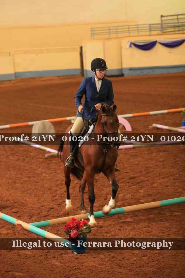 Proof Number 21YN_01020