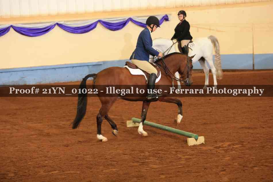 Proof Number 21YN_01022
