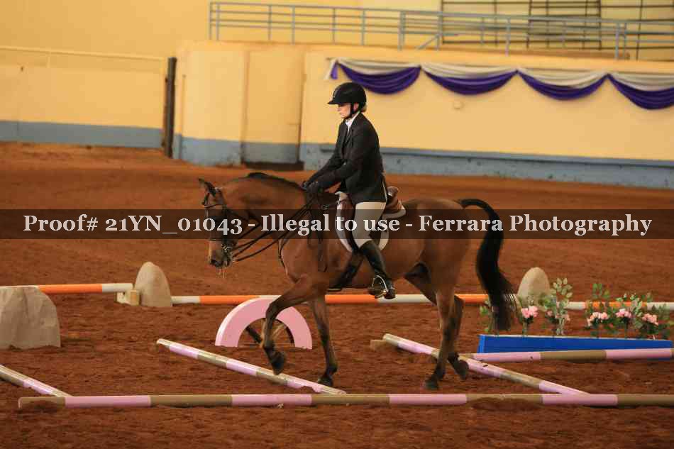 Proof Number 21YN_01043
