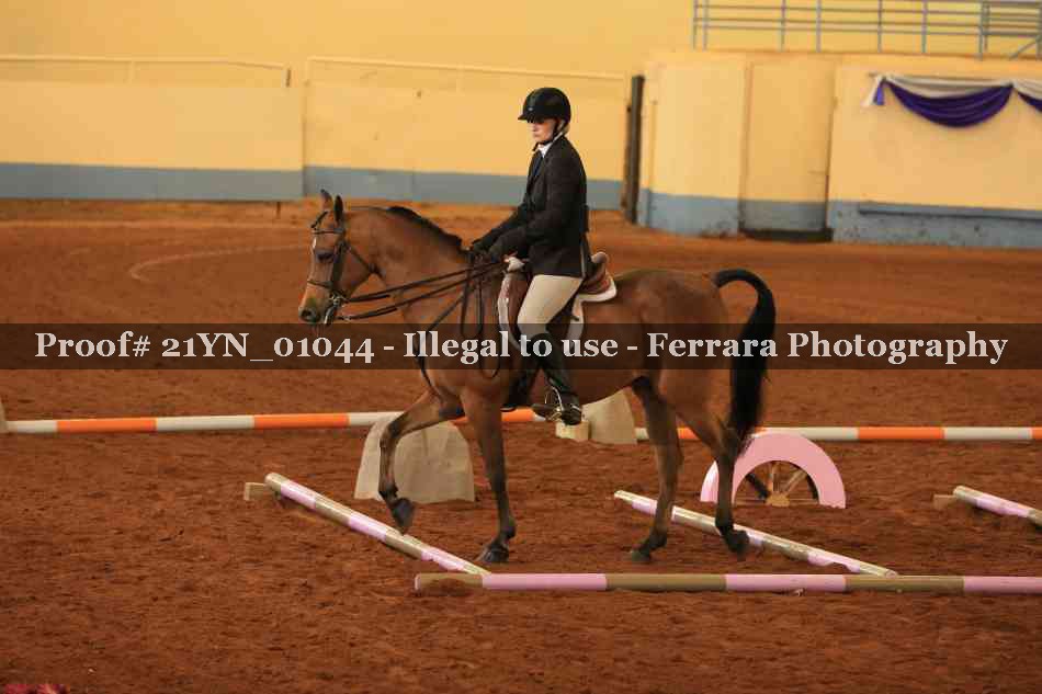 Proof Number 21YN_01044