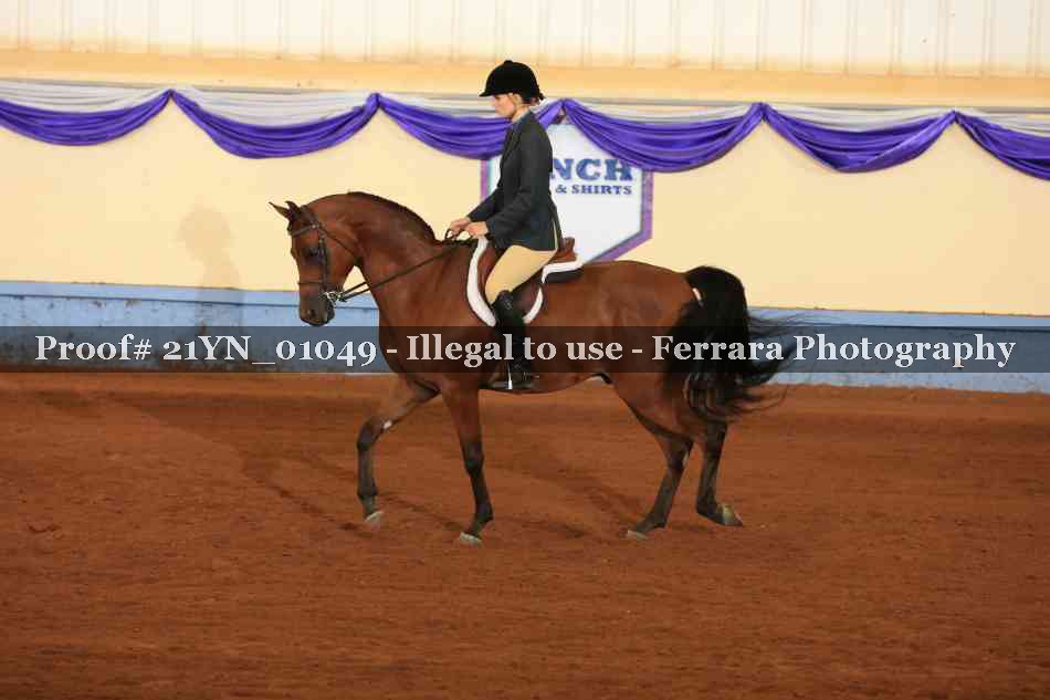 Proof Number 21YN_01049