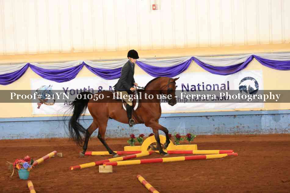 Proof Number 21YN_01050