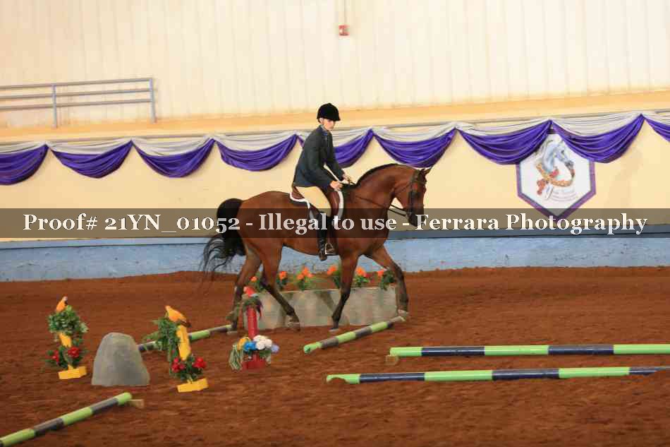 Proof Number 21YN_01052