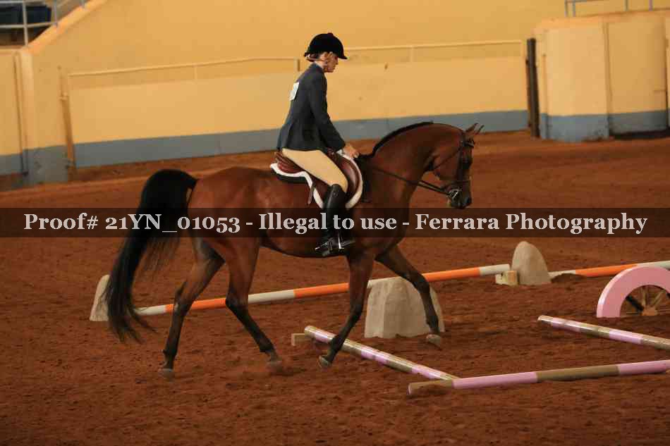 Proof Number 21YN_01053