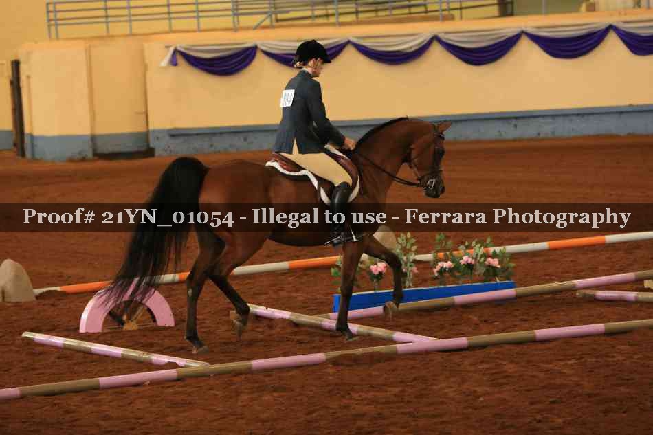 Proof Number 21YN_01054