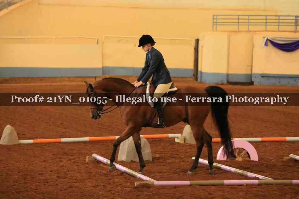 Proof Number 21YN_01055